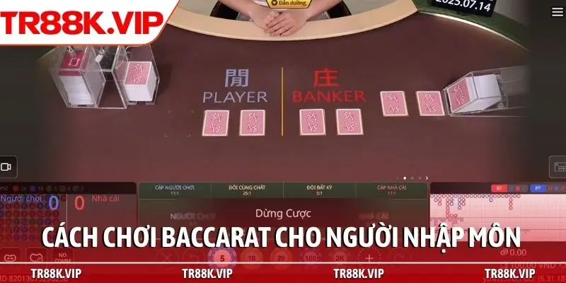 Tìm hiểu cách chơi Baccarat cho người nhập môn