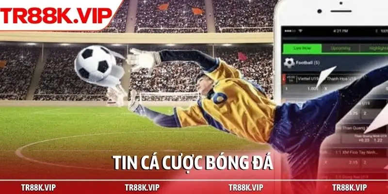 Tin cá cược bóng đá